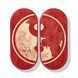 Sadhu board Design #45 in oval shape in oval shape nails galvanized nail spacing 8 mm Bright red